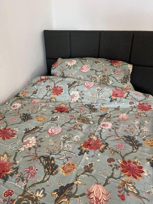 City Appartement Direkt Am Schloss! Karlsruhe Eksteriør billede