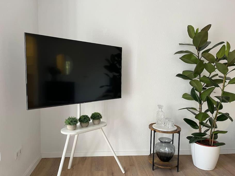 City Appartement Direkt Am Schloss! Karlsruhe Eksteriør billede