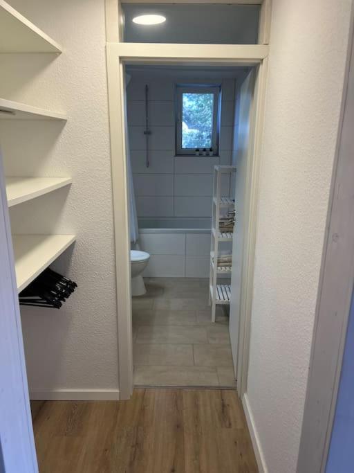 City Appartement Direkt Am Schloss! Karlsruhe Eksteriør billede